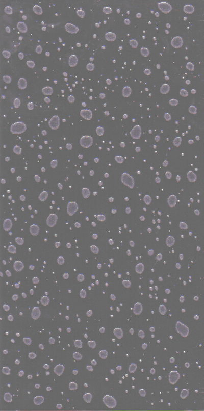 ����ߥ���(2006)�ʥץ쥹�����ȡˡ�13��25,7m�ϡ�22P��