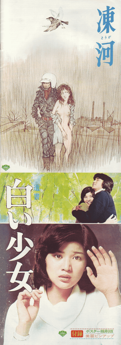 「映画　パンフレット」  白い手　南野陽子　主演 Amazon.co.jp: 白い手 [VHS] : 南野陽子: DVD