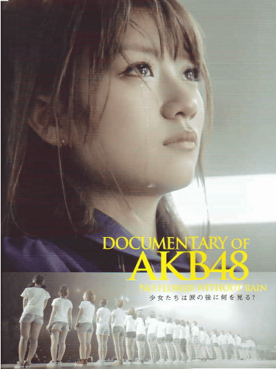 DOCUMENTARY OF AKB48 NO FLOWER WITHOUT RAIN ޤθ˲򸫤롩(2013)22,530cm