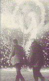 冬の猿(1962)【初1996】［18×29,6cm］ 