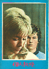 ĿͶ(1968)ڽۡΣȽϡǲ¶ȼҡ 