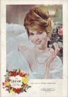 ����(1964)�ڽ�ۡΣ���Ƚ�� 