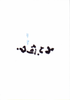 󡢲(2008)Σ£Ƚ 