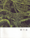 γ(2004)ʥץ쥹ȡˡ2126cmϡ14P 