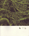 γ(2004)2126cmϡ22P 