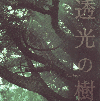 透光の樹(2004)［24,8×24,8cm］ 