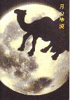 月の砂漠(2001)［Ａ５判］ 